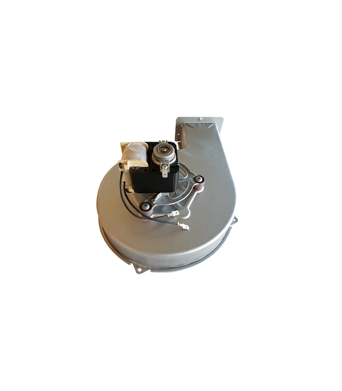 wp-image1704836172.png