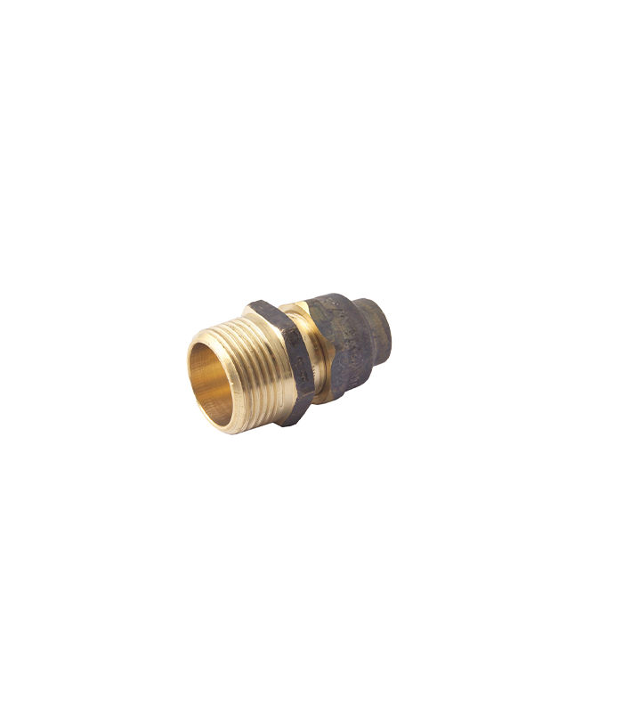 wp-image1712385157-1.png