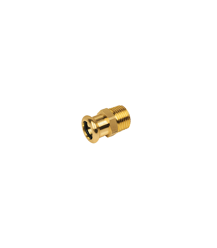 wp-image1712400625.png