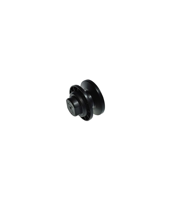 wp-image1715823413.png