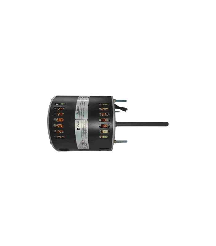 wp-image1716342562.png