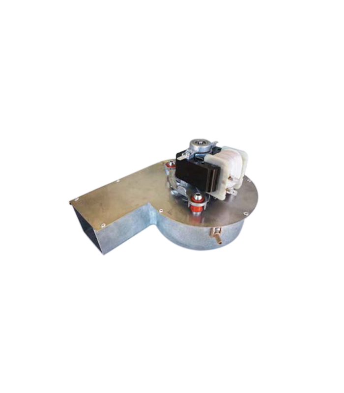 wp-image1716429090.png
