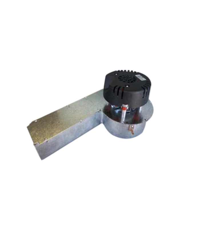 wp-image1716429460.png