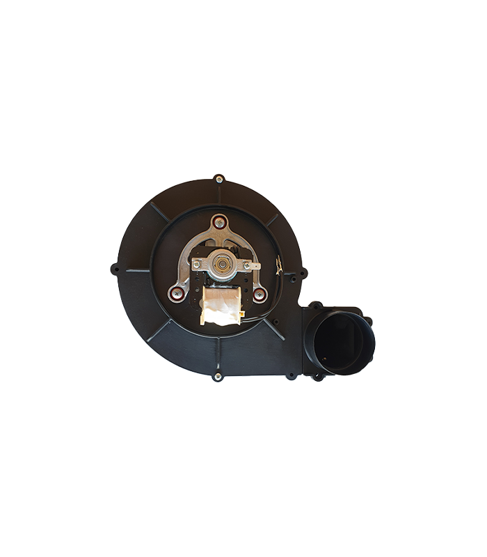 wp-image1719975983.png