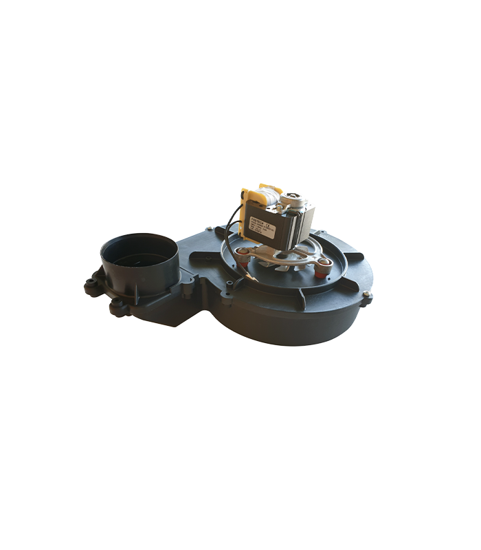 wp-image1719975984.png