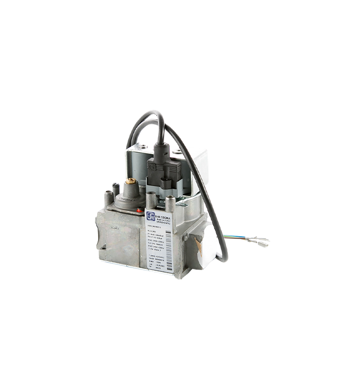 wp-image1719977542.png