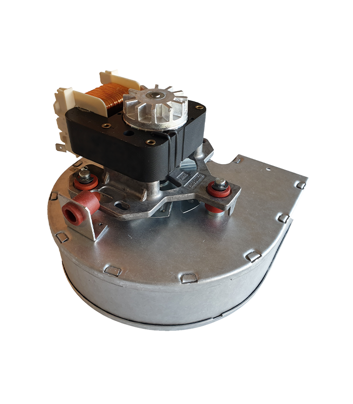 wp-image1726440916.png