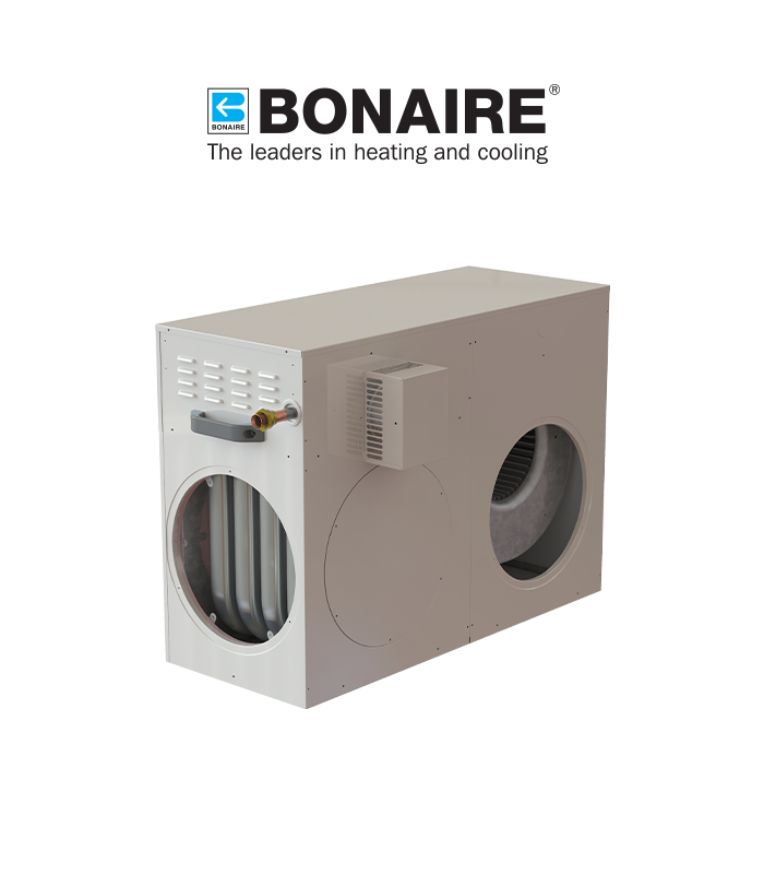 wp-image1742772750.png