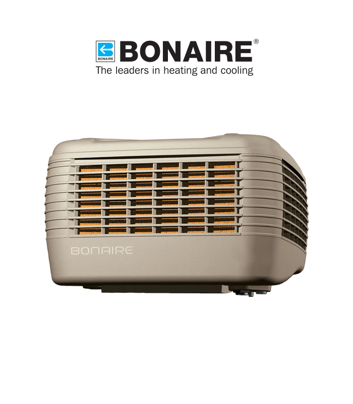 wp-image1742950142.png