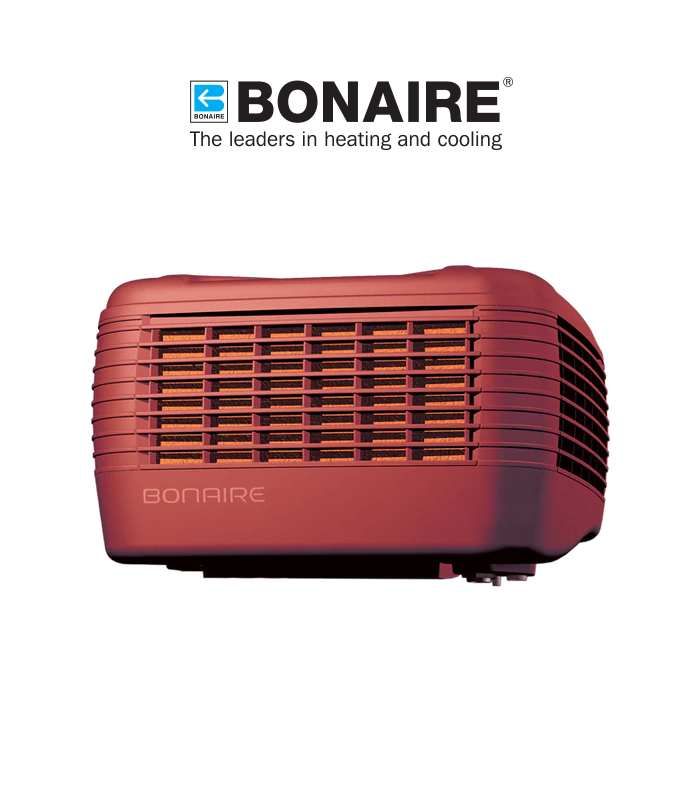 wp-image1742950859.png