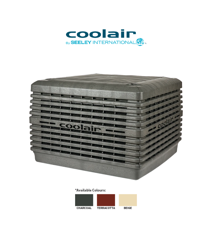 wp-image1743031019.png