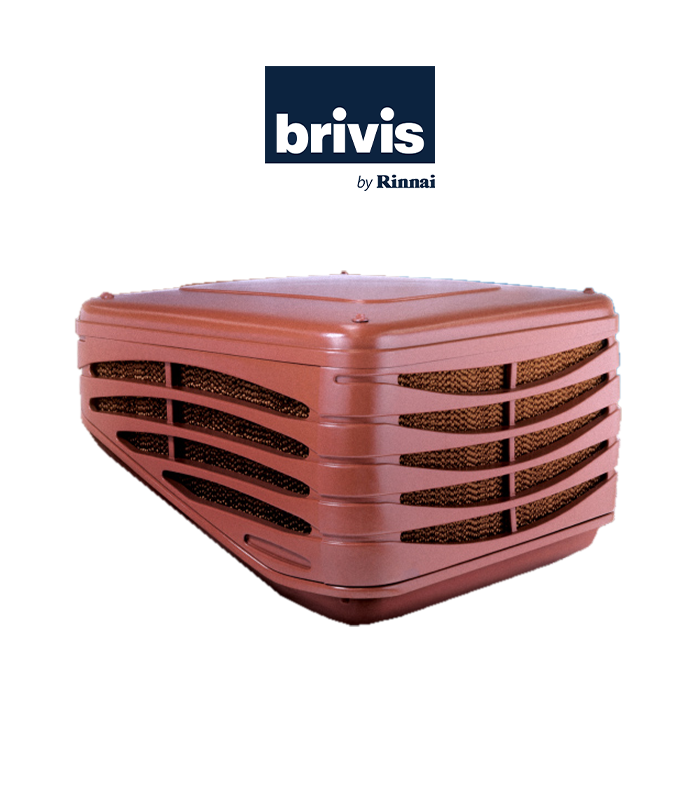 wp-image1760570272-1.png